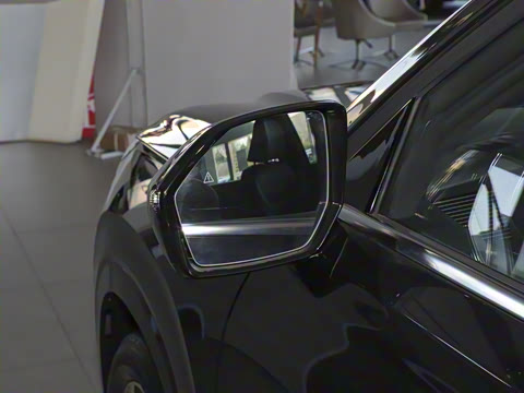 2023�� 3.5L �Զ�����Calligraphy