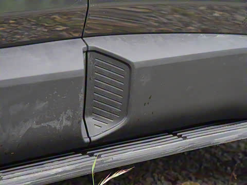 2024�� ����������