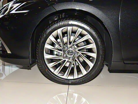 2025�� 300h ������