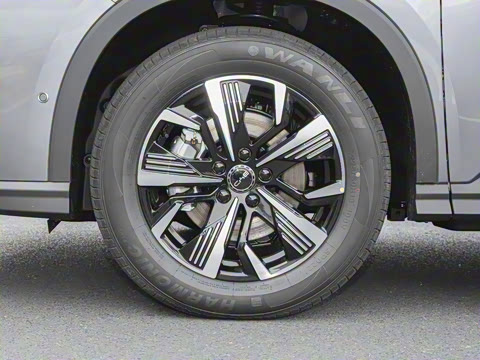 2025�� DM-i �Ǽݰ� 75KM������