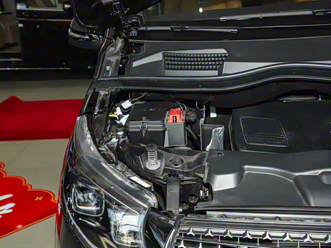 2025�� �������������