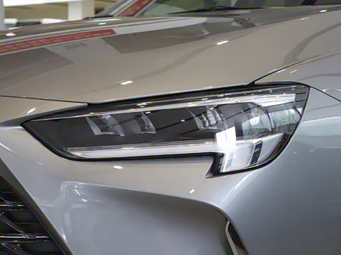 2024�� �Ŀ� 25T ������