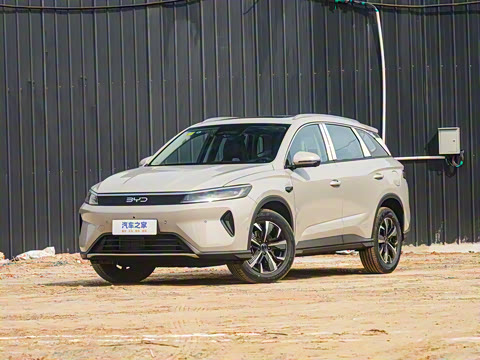 2025�� DM-i �Ǽݰ� 115KM������