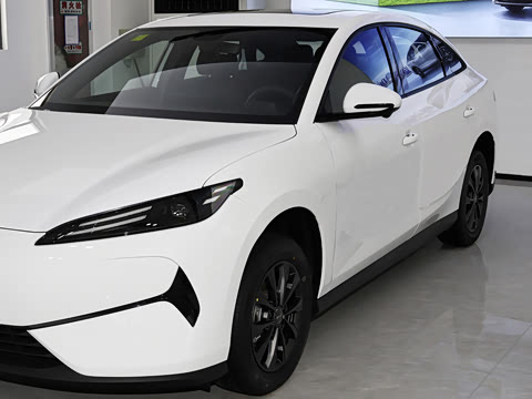 2025�� 520���а�