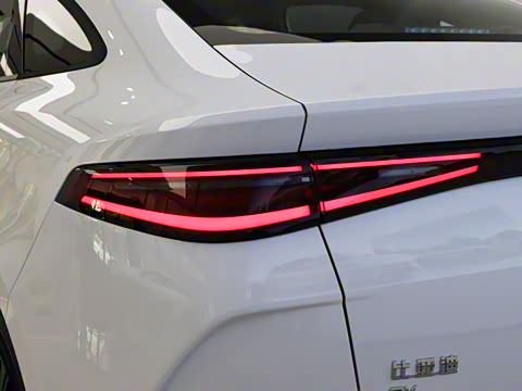 2025�� 520���а�