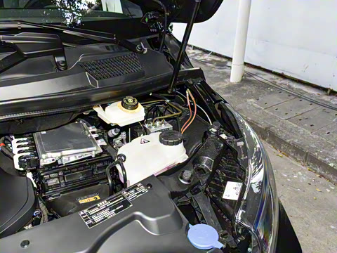 2025�� �������Ȱ�