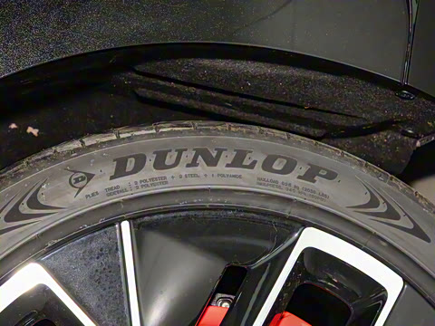 2025�� Max�����