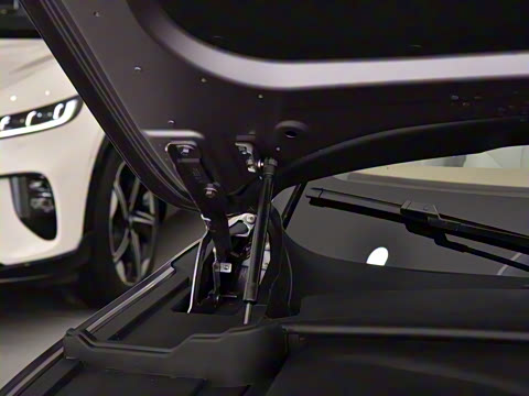 2025�� FREE+ ����Ǭ����