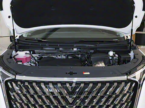 2025�� 2.0T �Ǻ�������