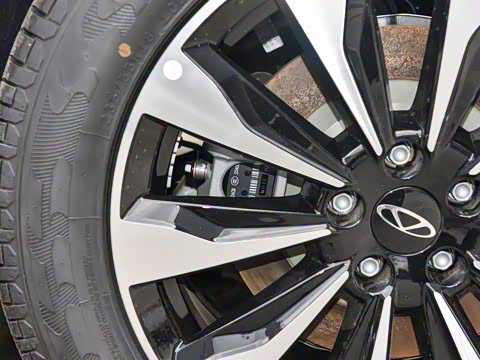 2025�� 290TGDI DCT�˷�� 7��