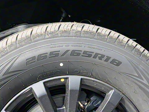 2025�� �����Ǽ�Max��