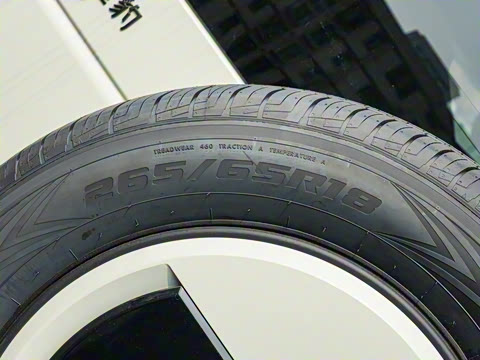 2025�� �����Ǽ�Max��