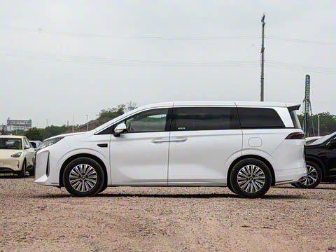 2025�� DM-i 1.5T 100km �캽��