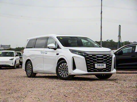 2025�� DM-i 1.5T 100km �캽��