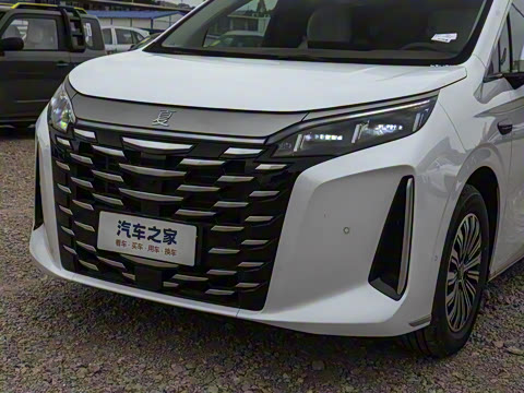 2025�� DM-i 1.5T 100km �캽��