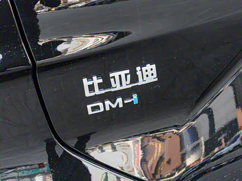 2025�� DM-i �Ǽݰ� 160KM �콢��