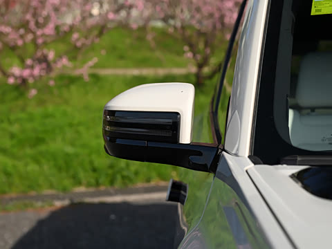 2025�� 501KM �������˻���