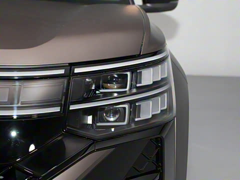 2025�� ;�� Pro 450TSI �����Ƿ��