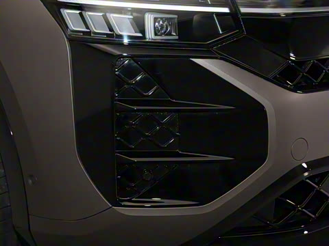 2025�� ;�� Pro 450TSI �����Ƿ��