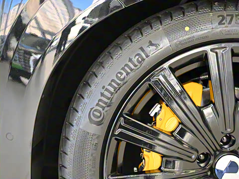 2025�� ������