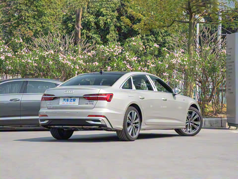 2025�� �Ŀ� 45 TFSI ��ѡ������