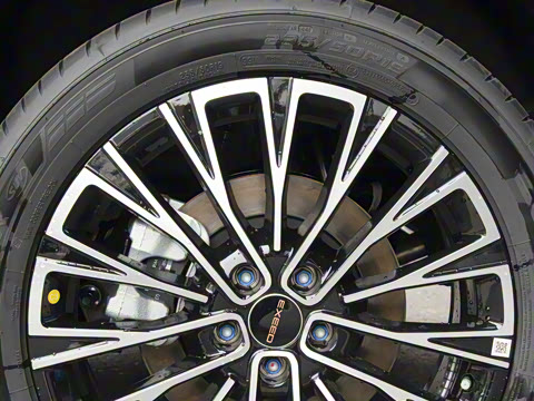 2025�� 300T ������Խ��