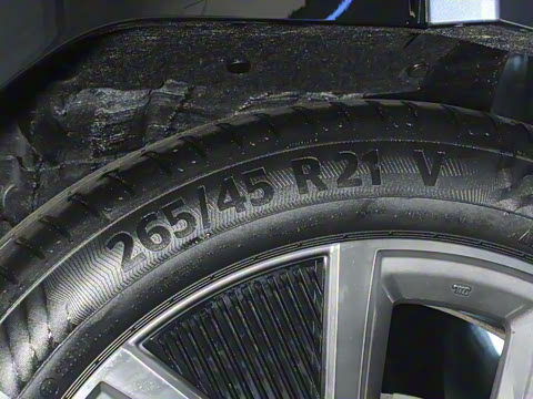 2025�� ����������Pro