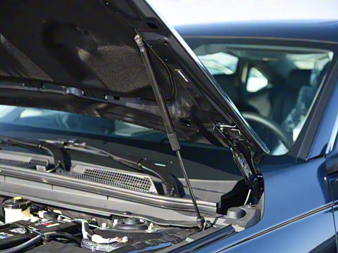 2025�� �˶�ϵ�� 260TURBO ������