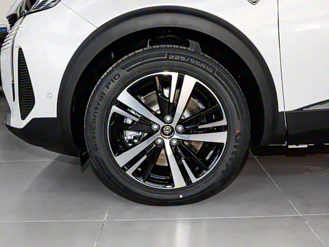 2025�� �콢��