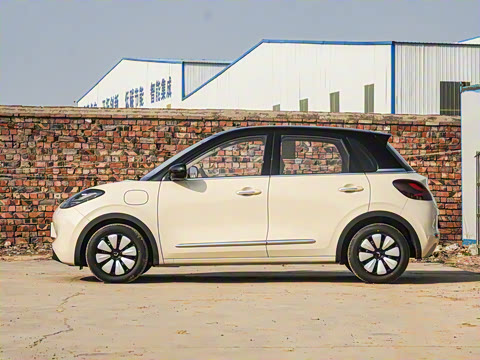 2025�� 333km ��Ϭ������