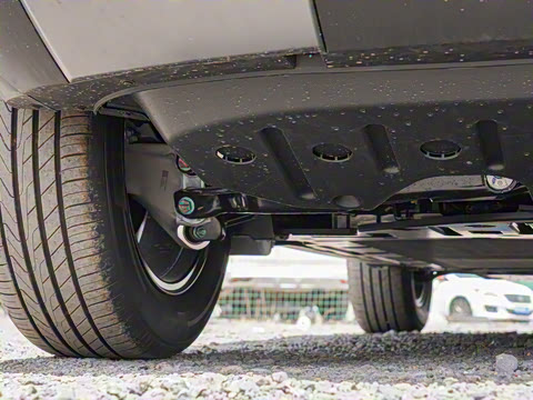 2025�� 501KM ����Max��