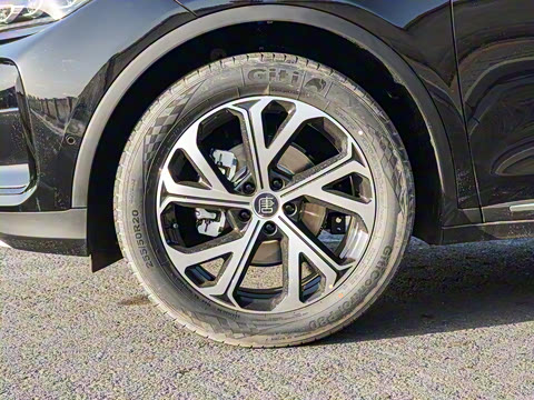 2025�� �Ǽݰ� DM-i 115KM �콢��