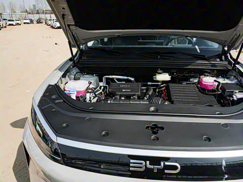 2025�� DM-i �Ǽݰ� 75KM�����