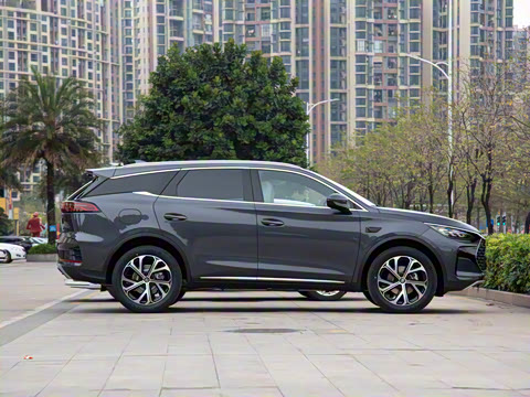 2025�� �Ǽݰ� DM-i 115KM �����