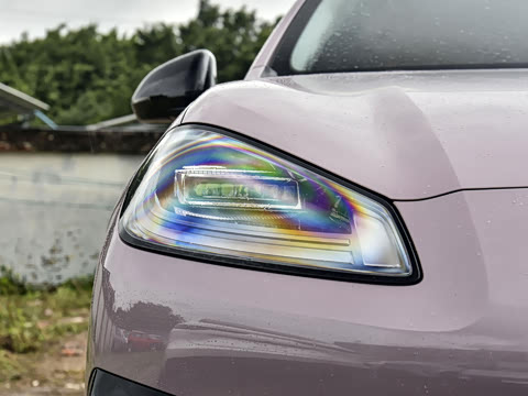 2025�� 650 ������