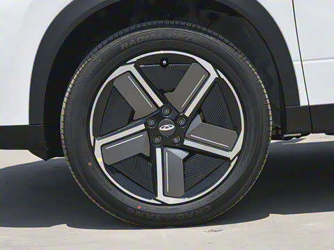 2024�� ������