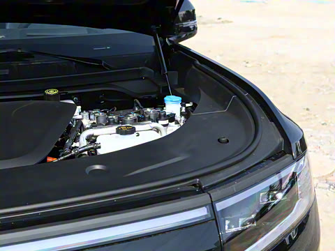 2025�� ���º����� 6��