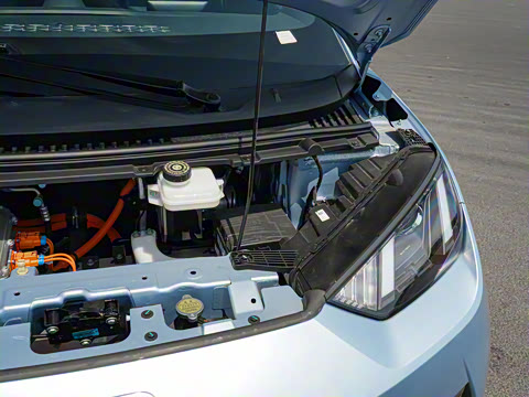 2025�� �Ǽݰ� 305km ������