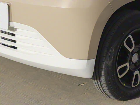 2025�� Pro 282km ���ư�