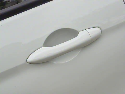 2025�� 310������