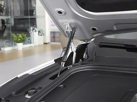 2025�� 636Max���Ȱ� 5��