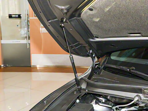 2025�� 500h ����F SPORT Performance