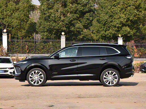 2025�� ������Plus ����Avenir��ά��