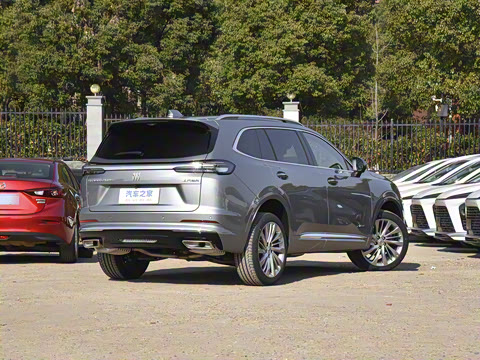 2025�� ������Plus ����Avenir��ά��