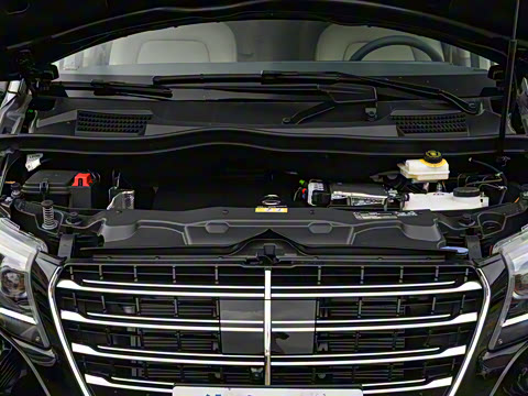 2025�� V 300 L ����������