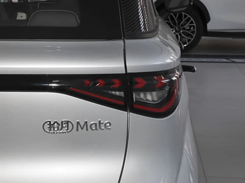 2025�� Mate 300km̤�˰�