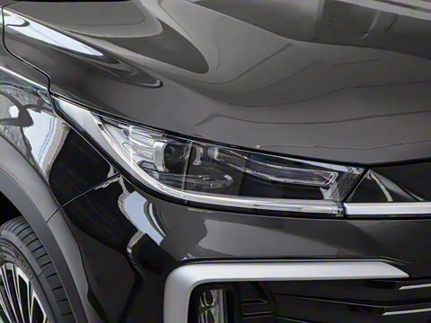 2025�� 300T ������Խ��