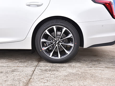 2025�� 28T �����˶���