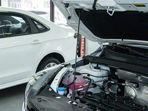 2025�� 1.5L �ֶ����ʰ�