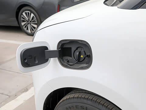 2025�� 205km ���߿�